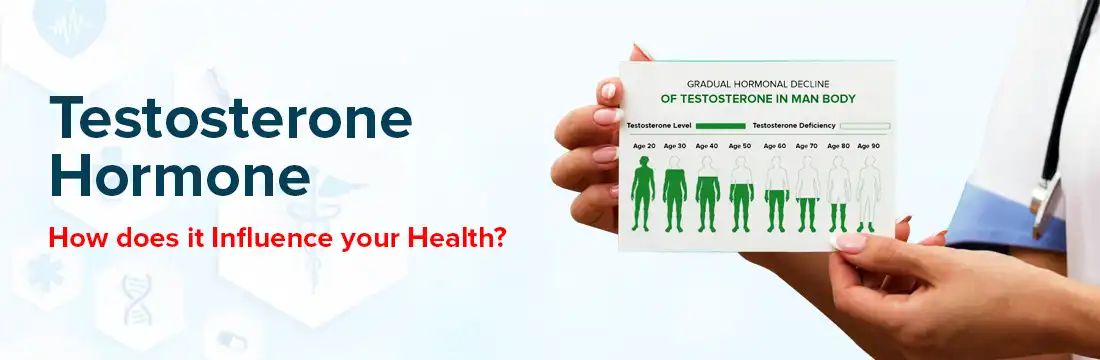 Detailed Overview Of Testosterone : How does it Influence your Health?